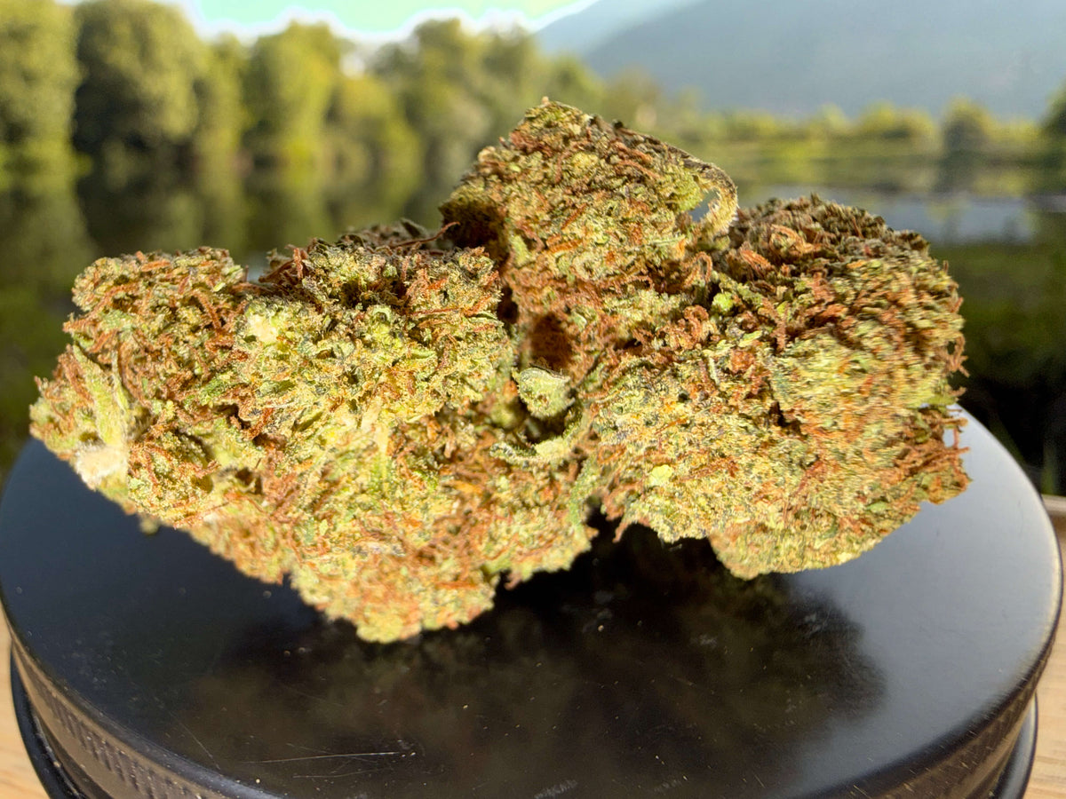 FLEUR PINNEAPLE KUSH HYDRO CBD