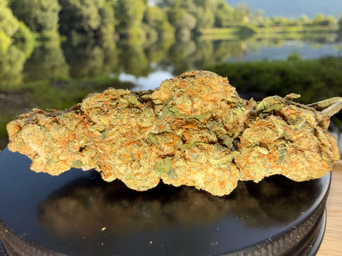 FLEUR AMNESIA HAZE HYDRO CBD