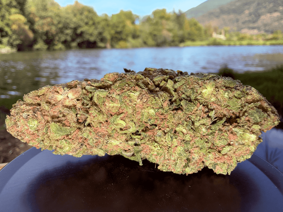 BUBBLE KUSH HYDRO CBD