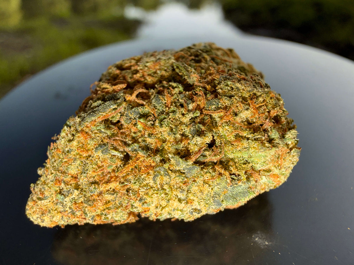 FLEUR ORANGE KUSH HYDRO CBD