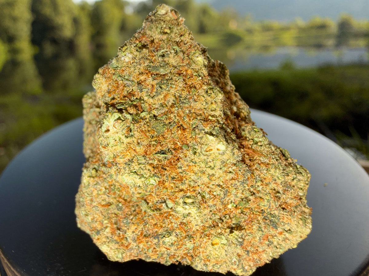 FLEUR CHERRY PIE HYDRO CBD