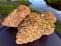 RAINBOW KUSH HYDRO CBD