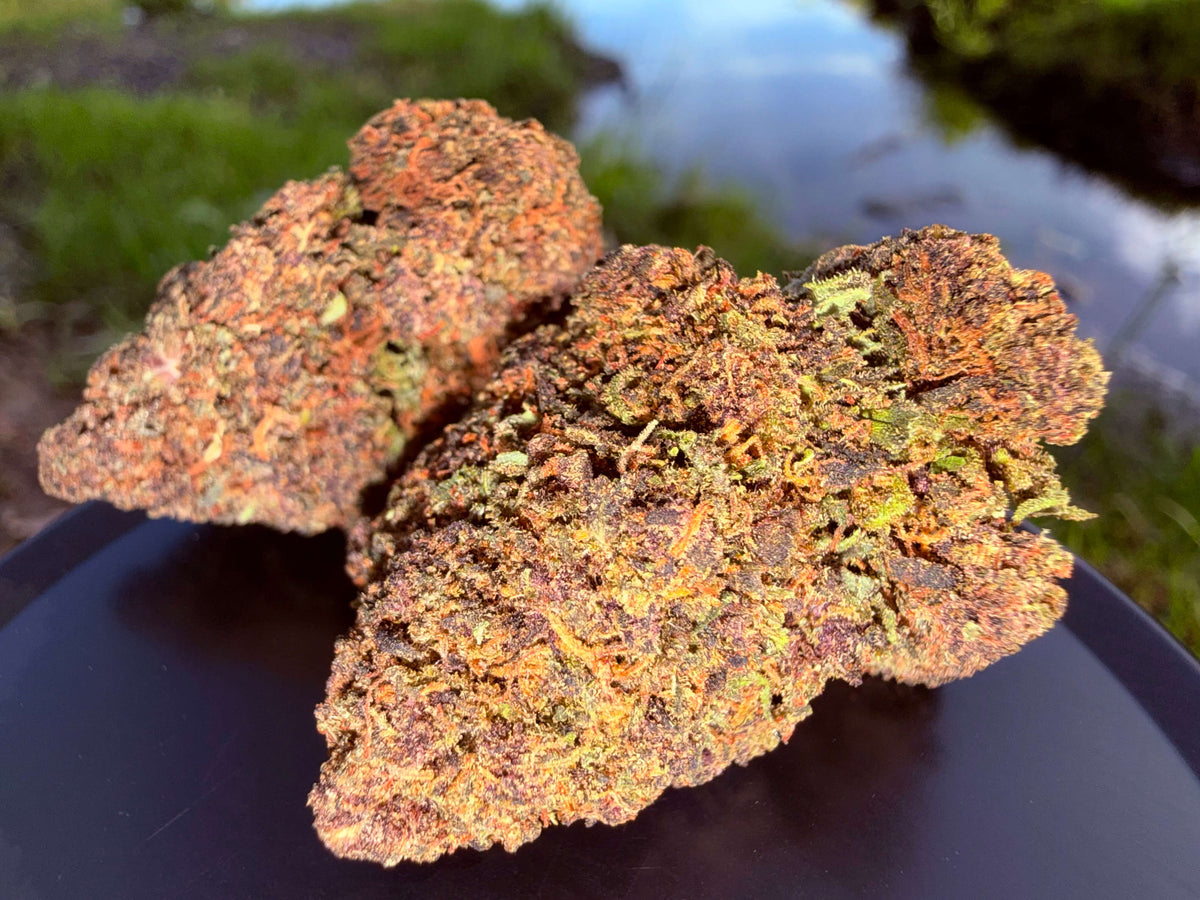 RAINBOW KUSH HYDRO CBD
